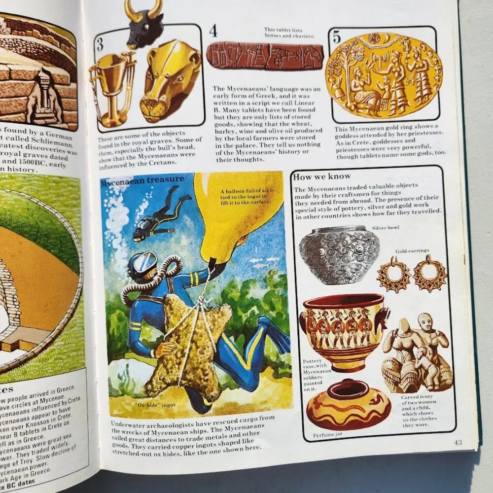 The Usborne Book of World History Hardcover Book Textbook Homeschooling Curricul